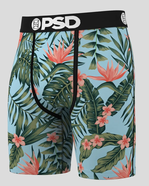 3 Pack - The Tropics