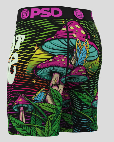 TASTE THE MAGIC MULTI XS / MULTI