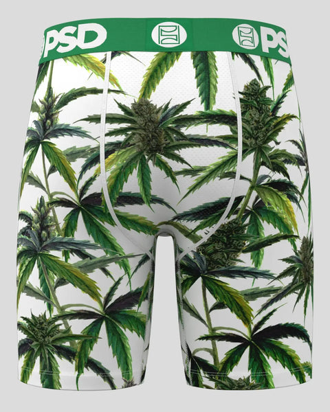 Buds & Bloom XS / MULTI